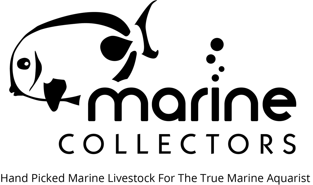 marinecollectors.com
