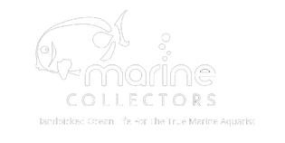 Marine Collectors
