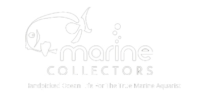 Marine Collectors